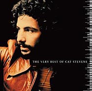 Image of Cool Cat Stevens
