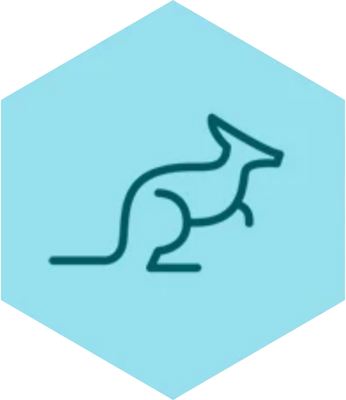 Light blue icon of a kangaroo