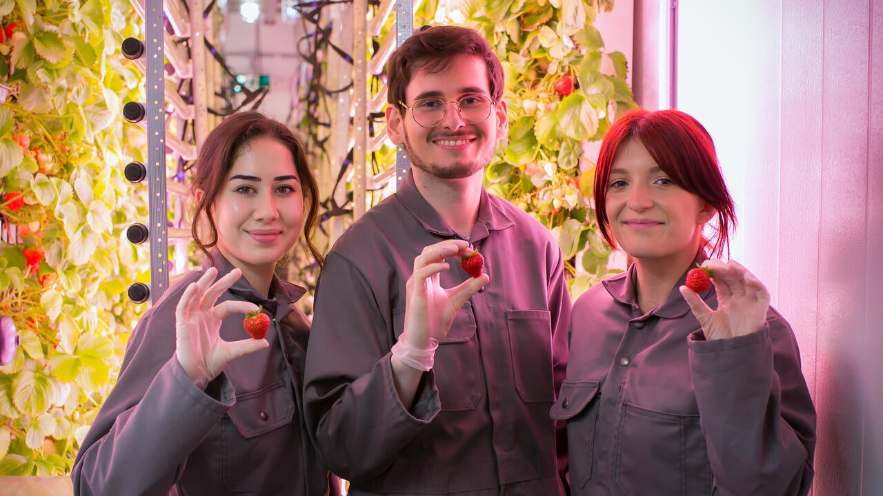 Vertité team holding indoor-grown strawberries