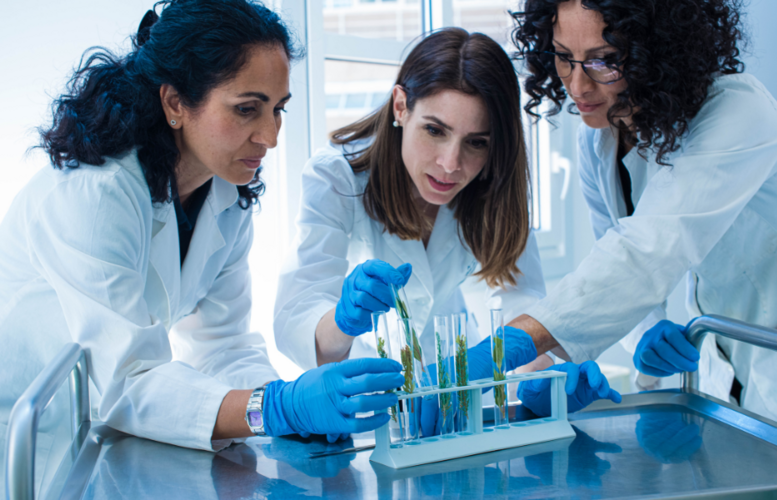 Three women examining plant samples in test tubes