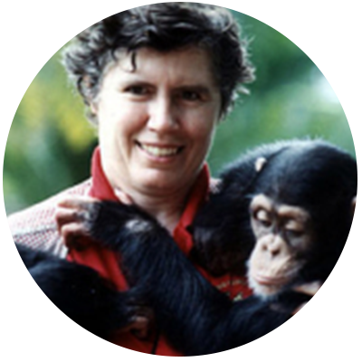 Anne Zeller