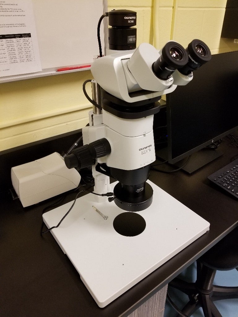 Olympus SZX16 Stereo Microscope Image