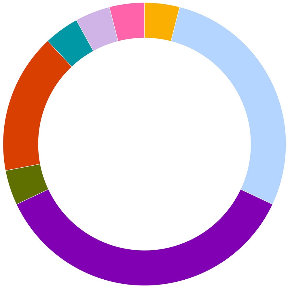 career outcomes for MA Public Issues Anthropology graduates by industry pie graph