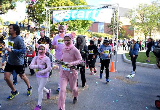 Family dressed as 3 pigs and wolf at start of Fun Run race.