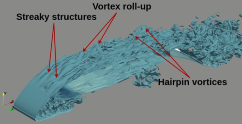 Streaky structures and Vortex roll-up