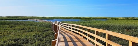 Boardwalk