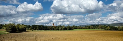 Empty farm field