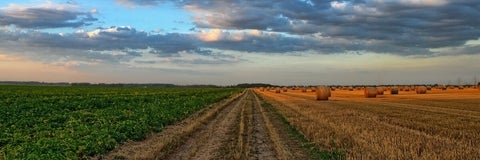 Harvest