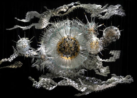 a biometric architectural installation