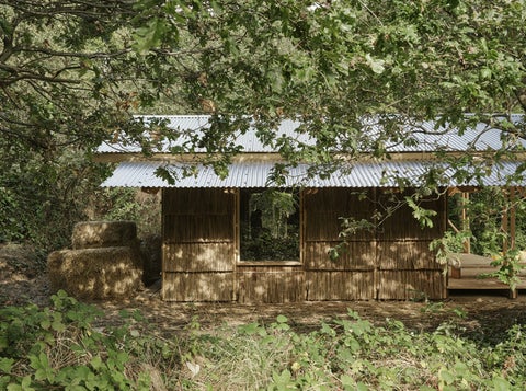 a bamboo building in a wooded area