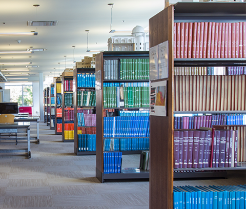 stacks of books in the musagetes library 