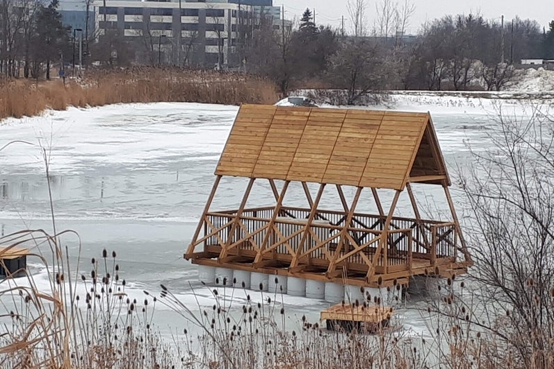 Elizabeth English - Pavilion- Winter 