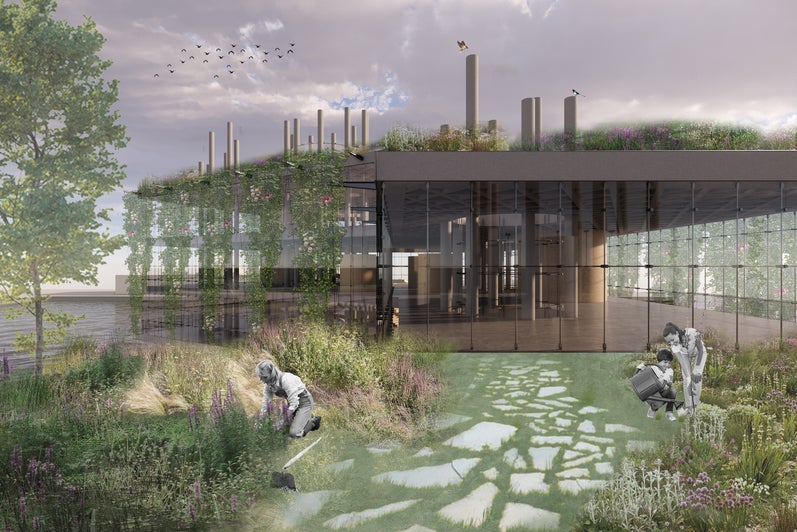 architectural rendering of the exterior of a building with a glass facade and plant life growing on the roof and cascading down the side of the structure