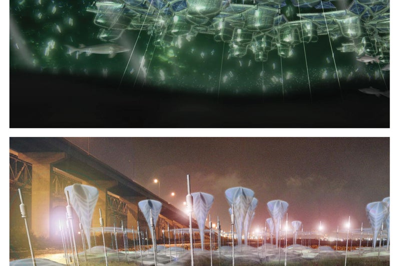 Two exterior night time renderings of this site installation art piece design. The design is made of many flower shaped objects.
