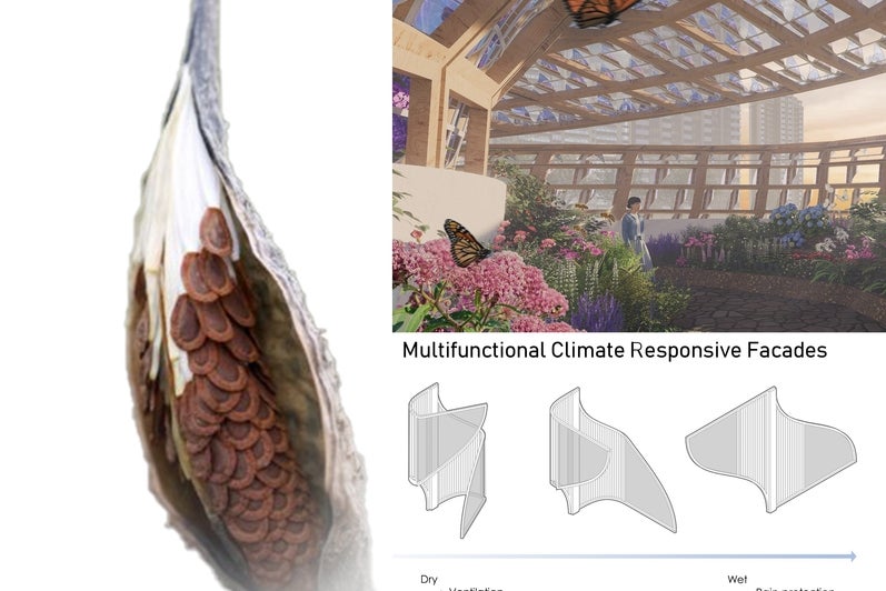 Architectural research project of a Climate responsive design based on swamp milkweed