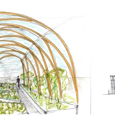 illustration of the interior of a greenhouse