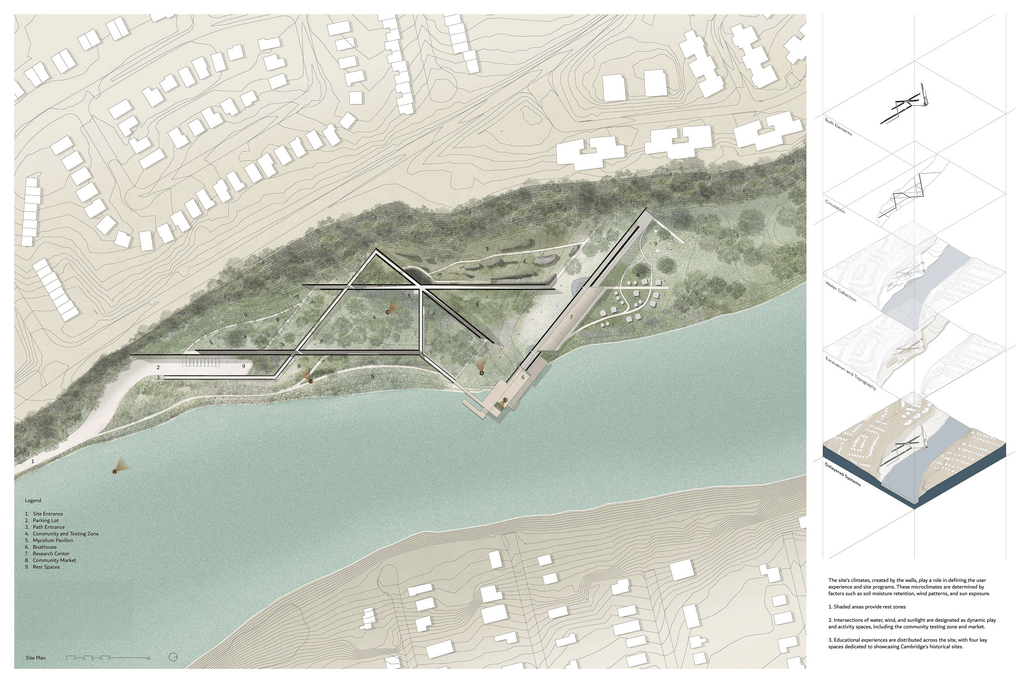 Detail of Climate Choreography by Mariem Saad
