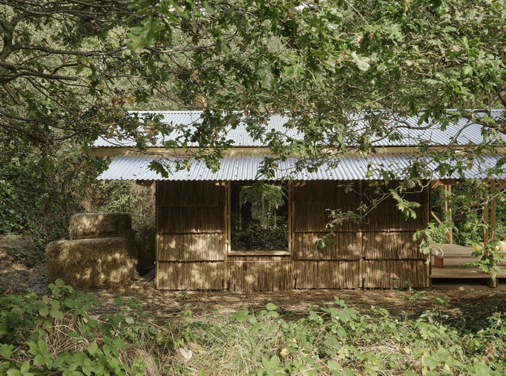 a bamboo building in a wooded area