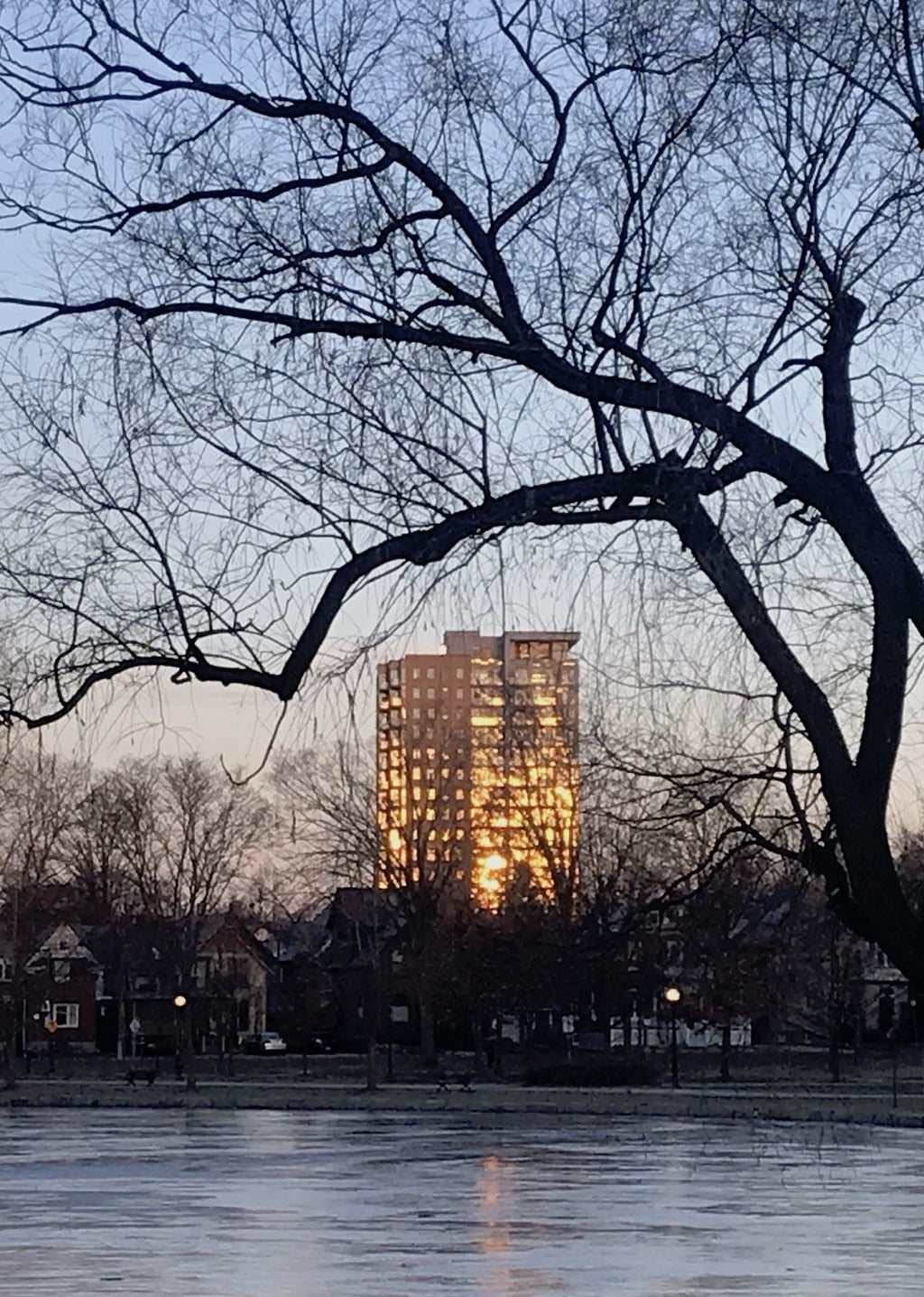 image of a high rise building in the distance from inside Victoria Park, Kitchener