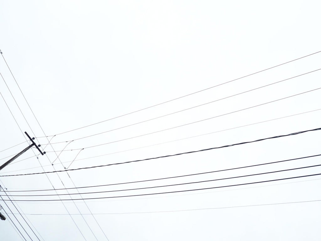 Shanne Stines thesis image