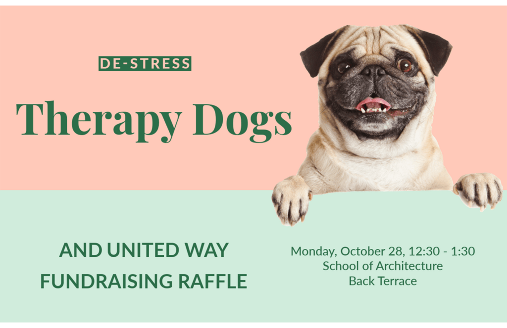 event poster, a pug dog on a pink and green background with event info in green text