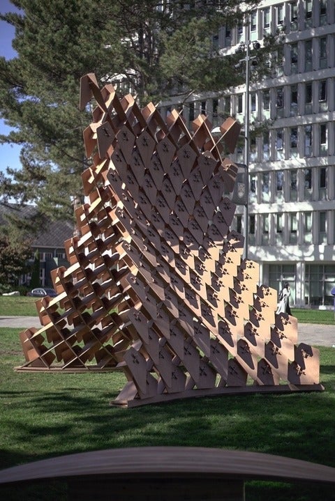 The 2019 Dragon Skin Pavilion at the UBC campus was made during the annual Robotic Fabrication workshop. Photo by David Correa.