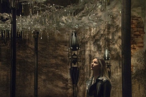 image of woman standing beneath Grove exhibit