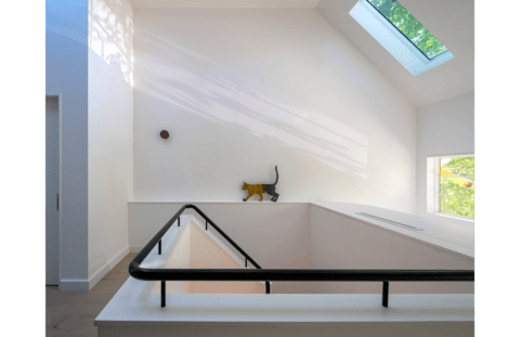 a cat illuminated by light from a skylight walks across a ledge above a stairwell