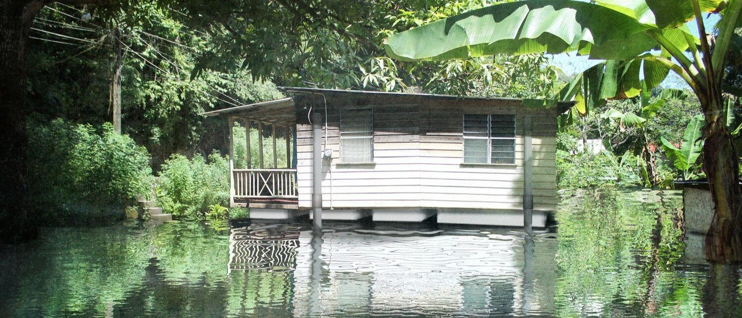 Elizabeth English - Portmaria-wet