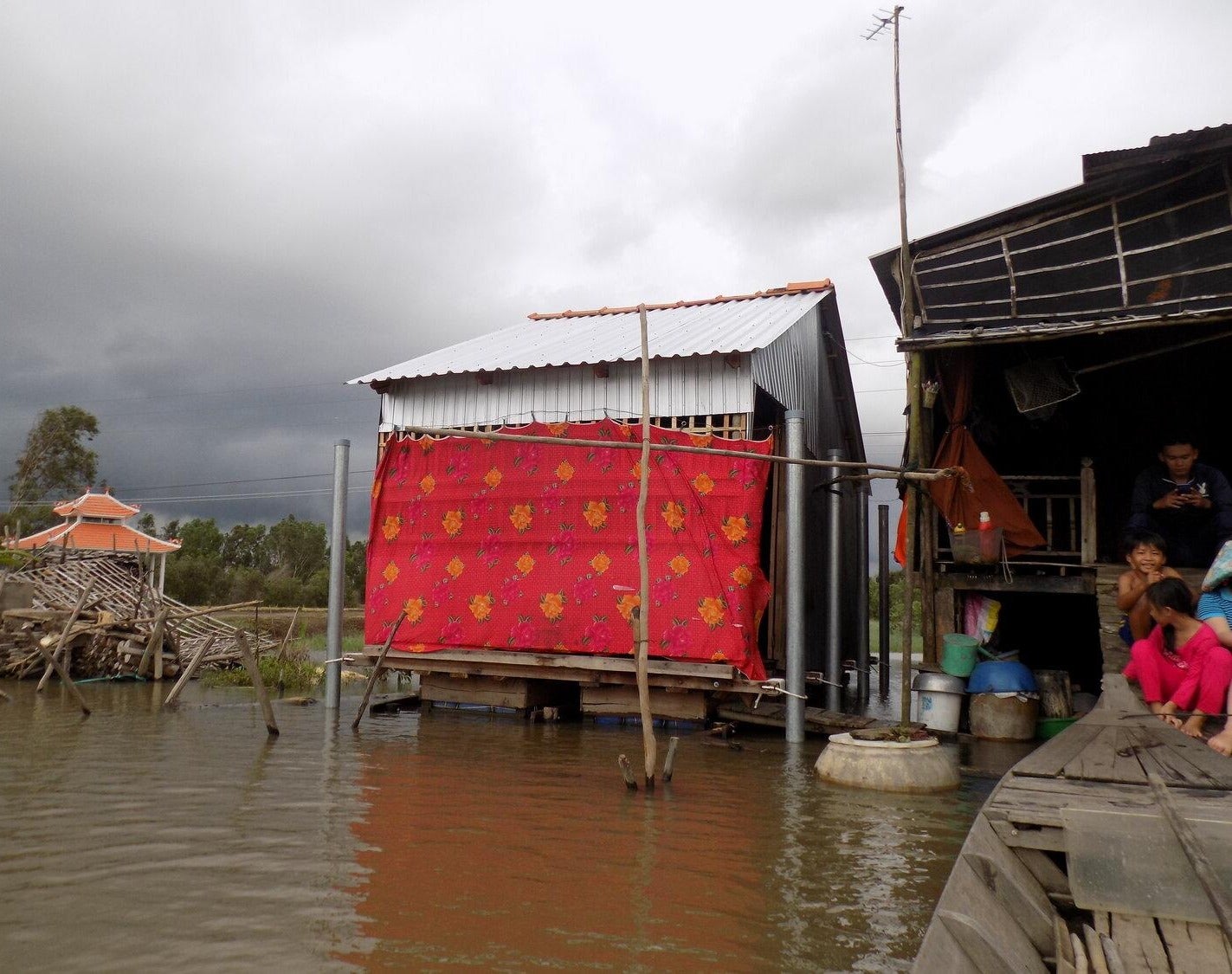 Elizabeth English - During Flood