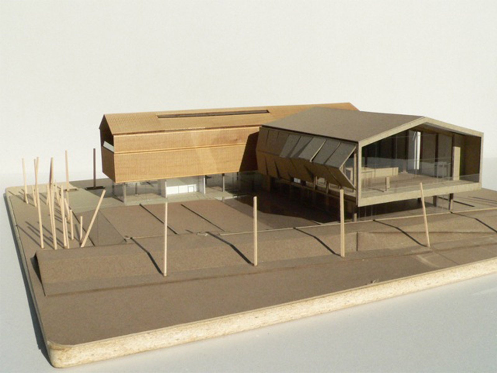 A photograph of the physical wood model.