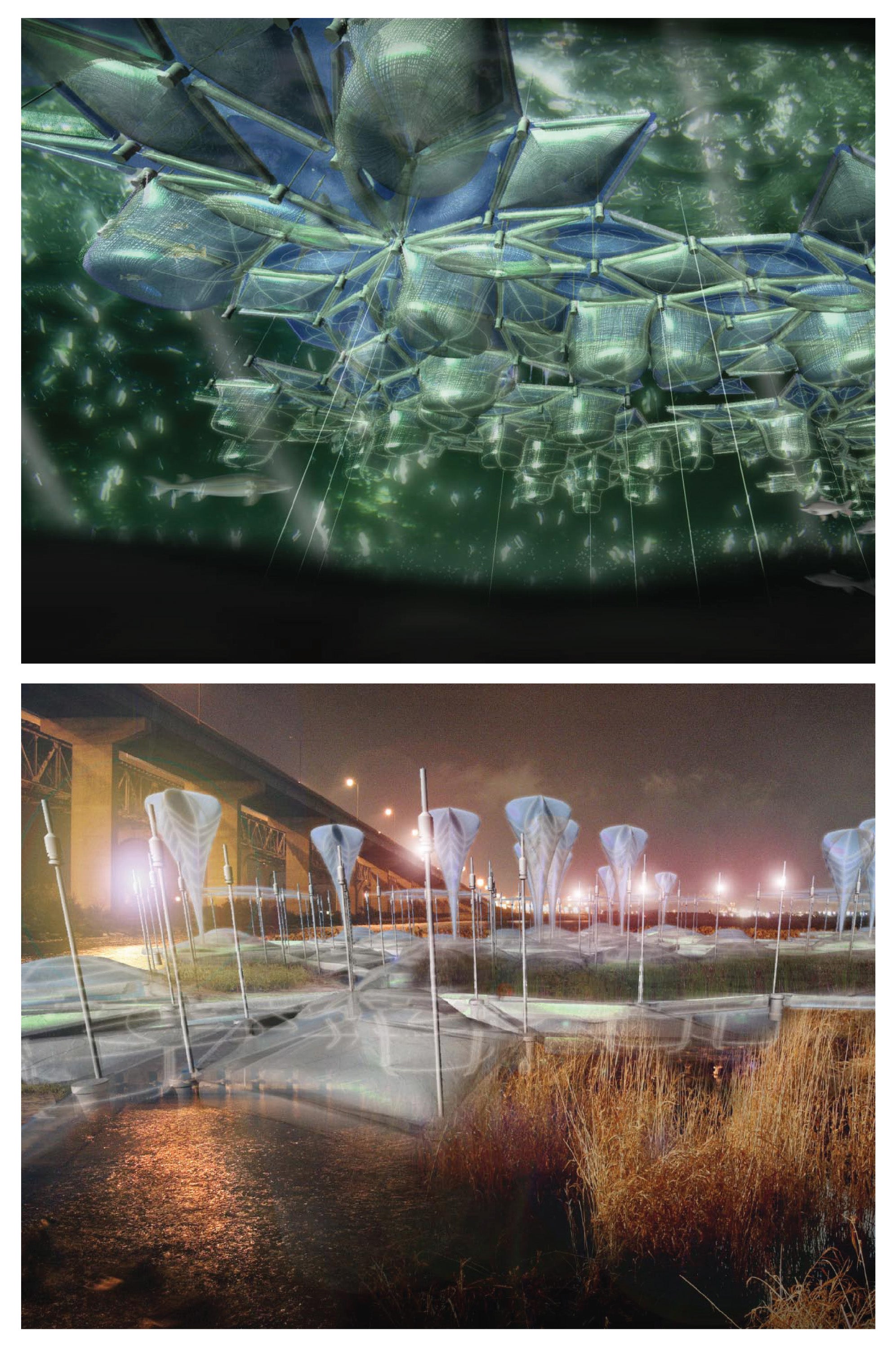 Two exterior night time renderings of this site installation art piece design. The design is made of many flower shaped objects.