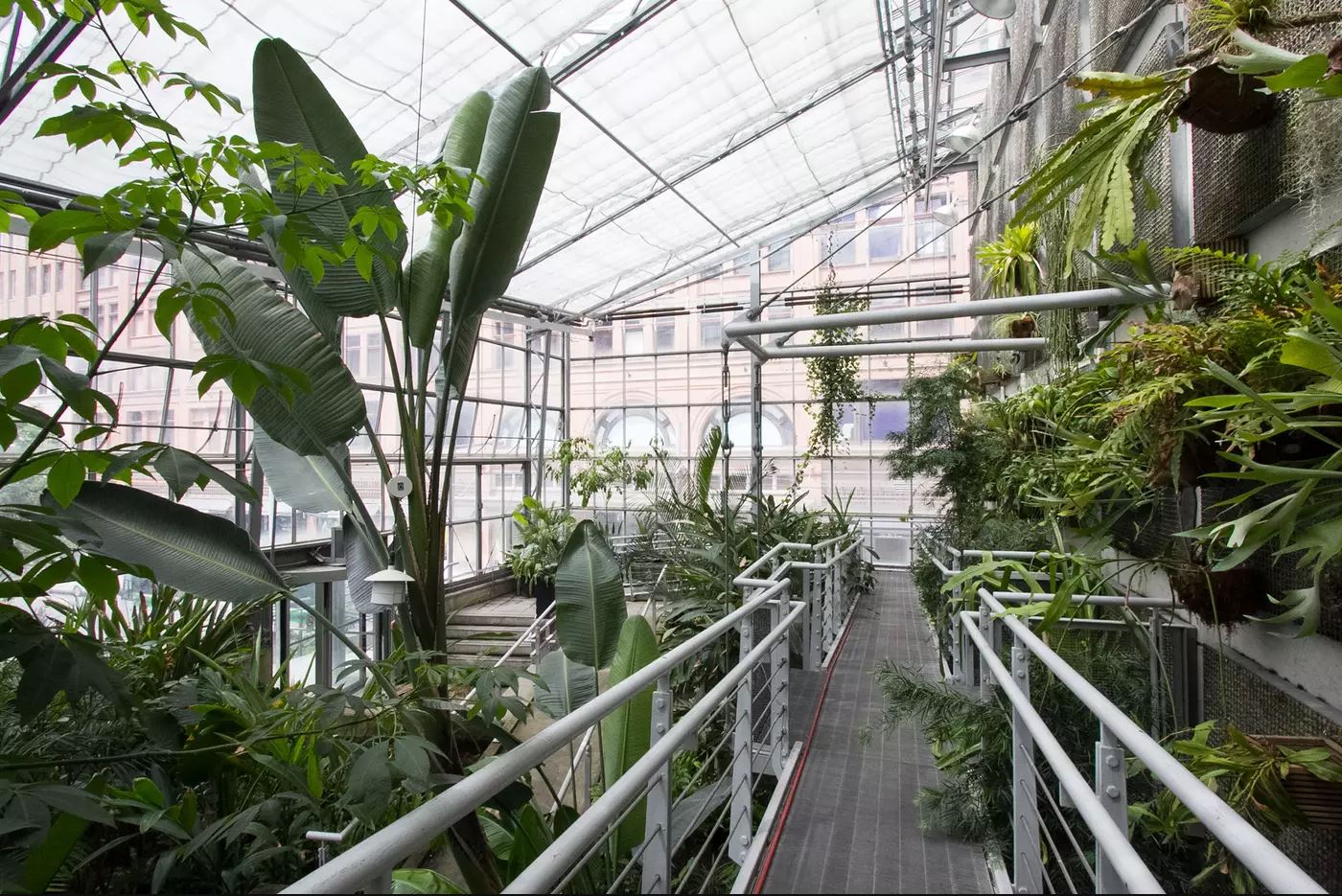 Valerio Rynnimeri - Portfolio 