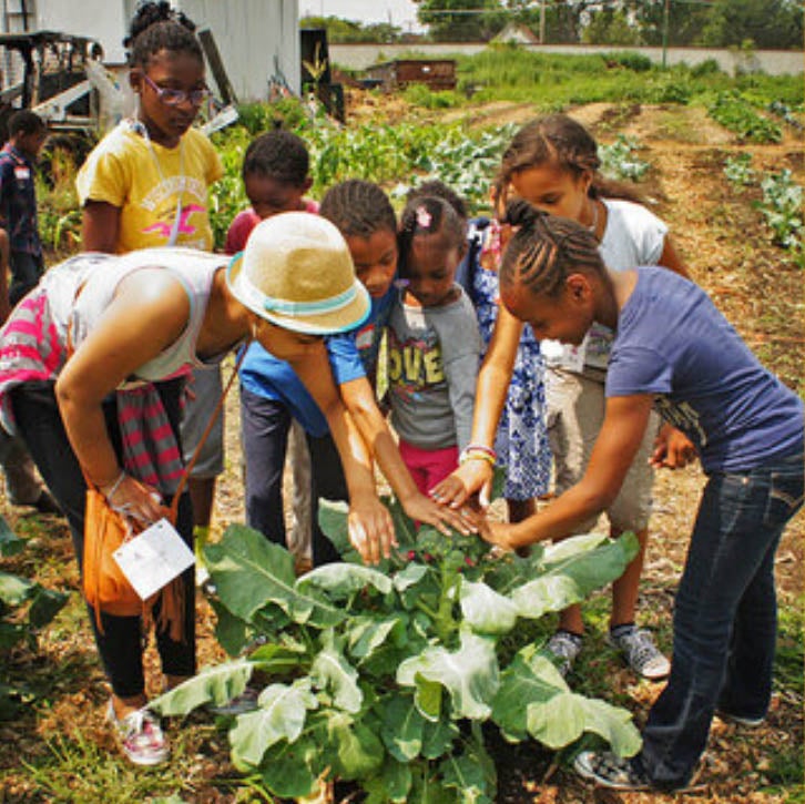 image of children gardening