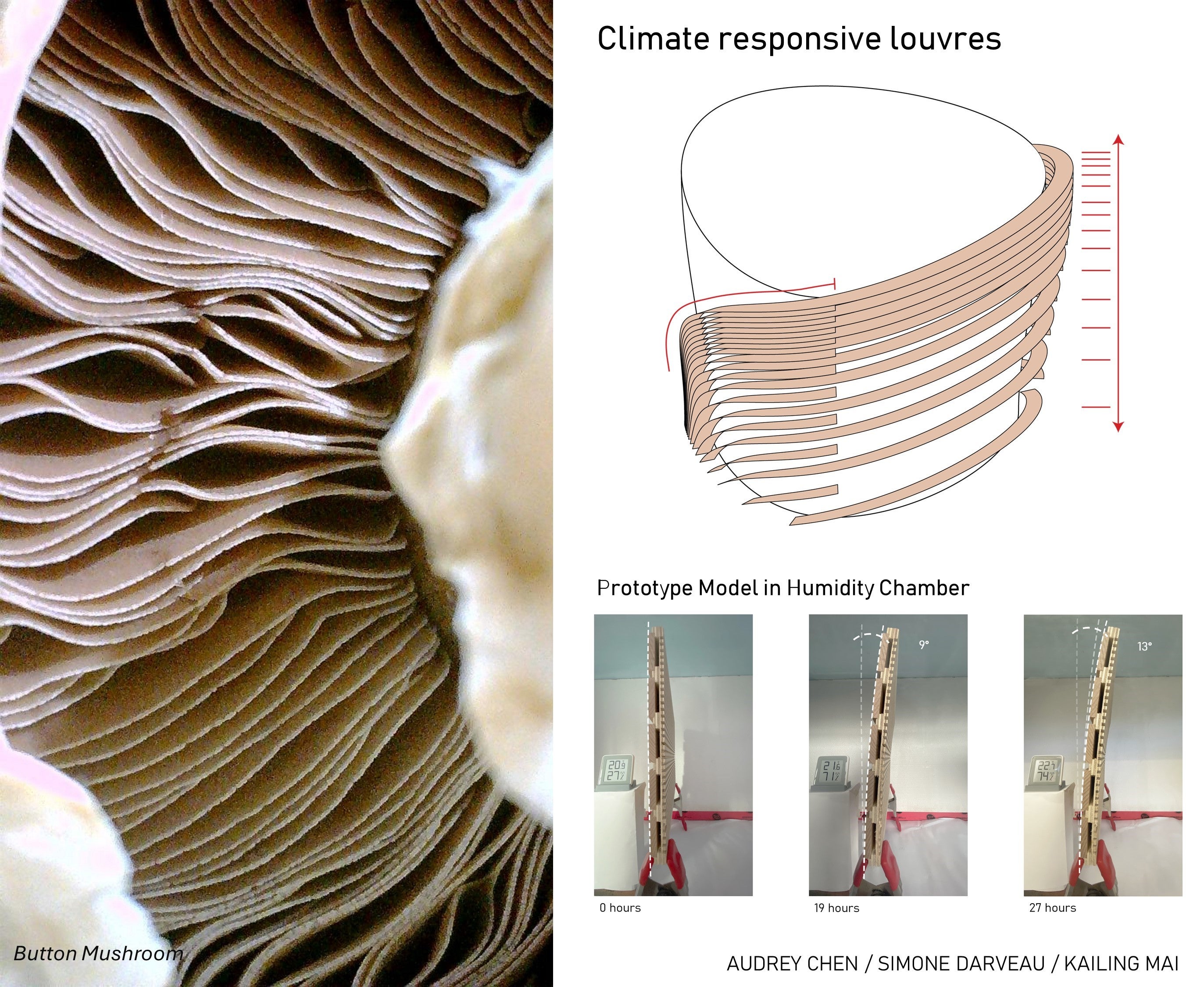 Architectural research project of a Climate responsive design based on a button mushroom