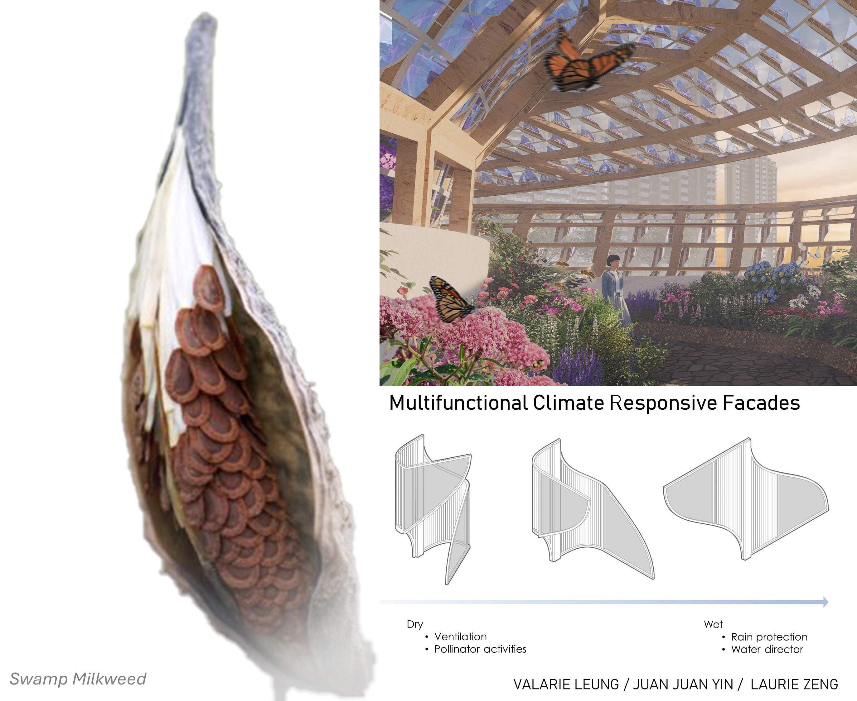 Architectural research project of a Climate responsive design based on swamp milkweed