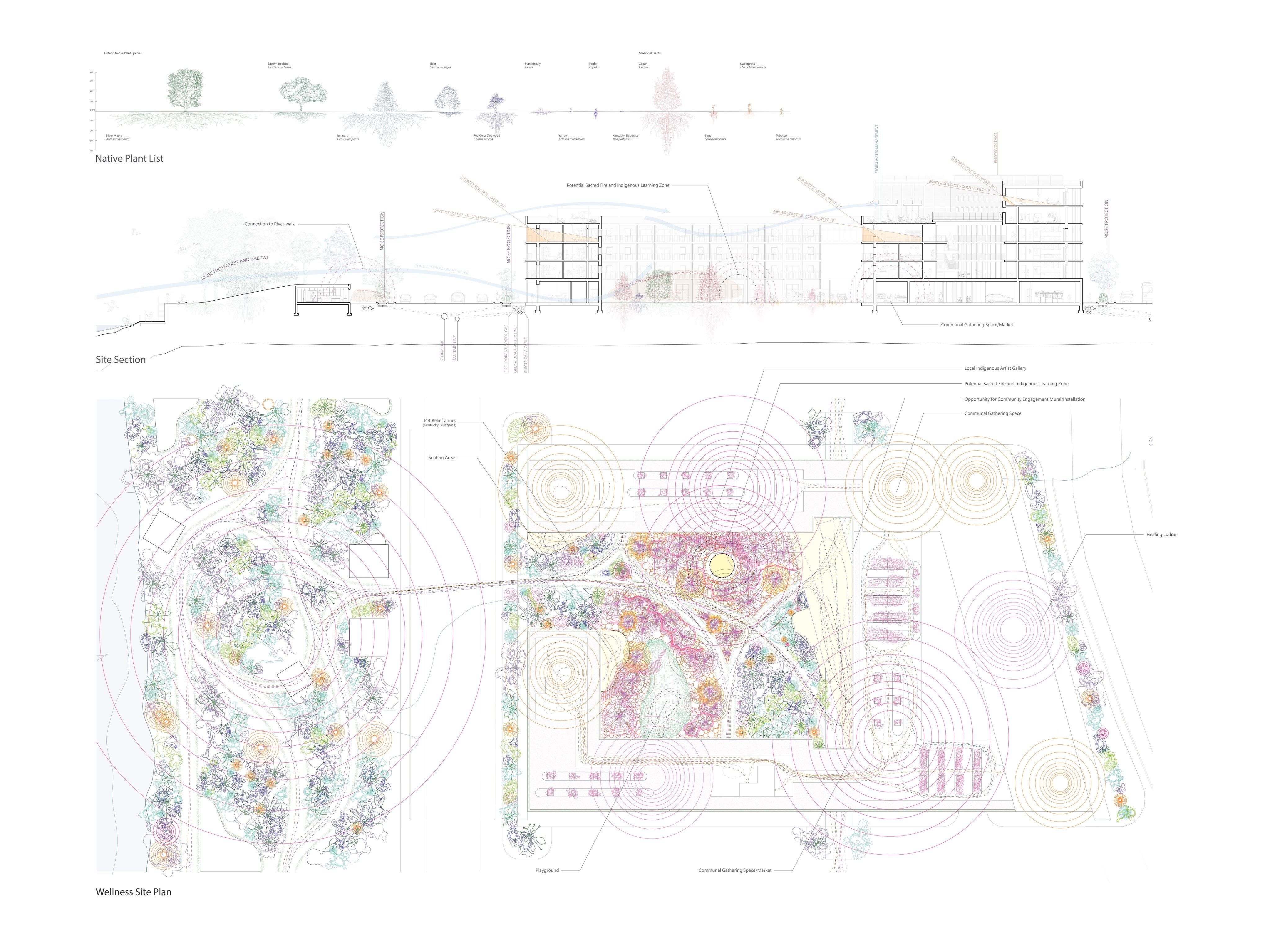 detailed architectural site plan