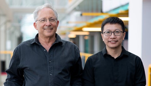 shai ben and david yaoliang