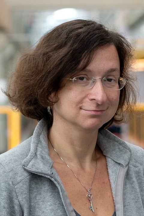 Professor Olga Veksler