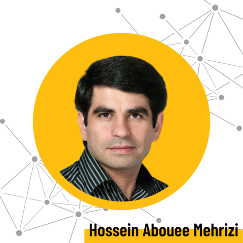 Image of Hossein Abouee Mehrizi