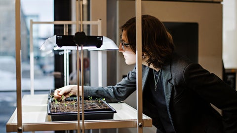 Danielle tending to sprouted plants under a grow light