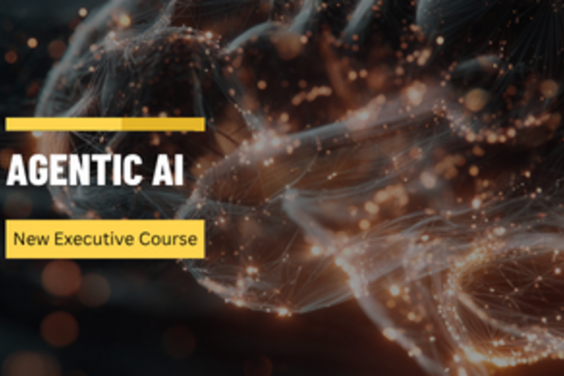 Agentic AI Upskilling