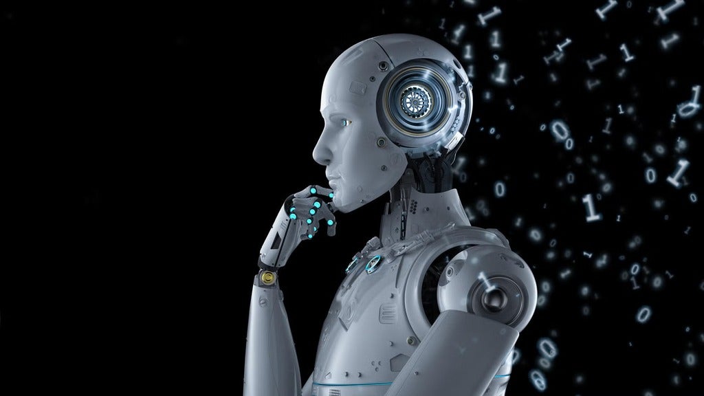 Wise AI systems