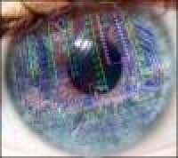computer eye iris
