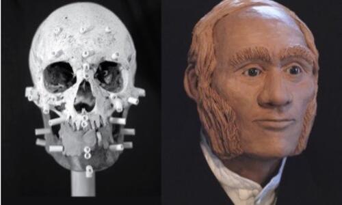 human skull and face reconstruction