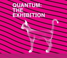 Quantum exhibit cat