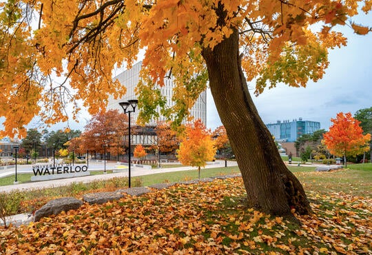 University of Waterloo sign in fall campus scene