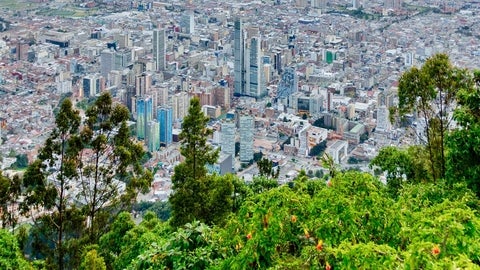 Large cityscape with forest in foreground