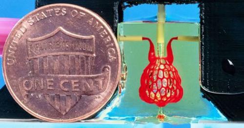 Comparison of a 3D printed lung and US penny