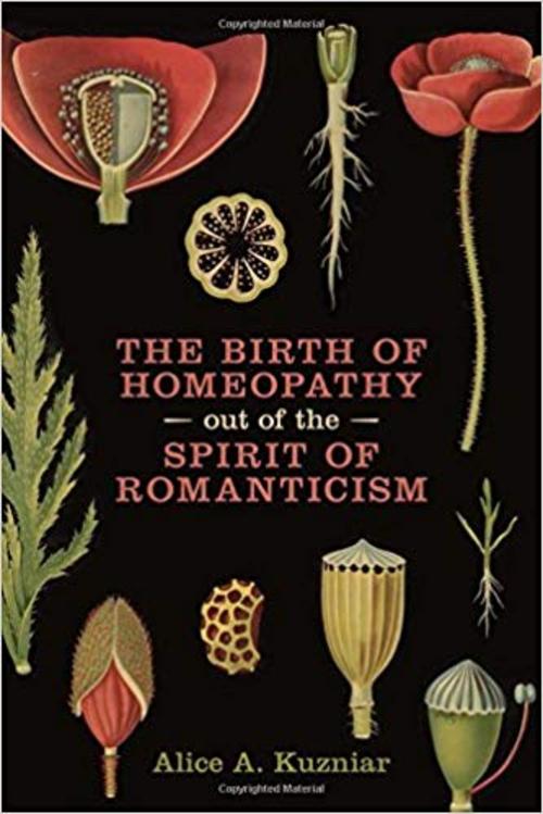 Cover of The Birth of Homeopathy Out of the Spirit of Romanticism